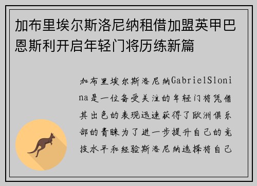 加布里埃尔斯洛尼纳租借加盟英甲巴恩斯利开启年轻门将历练新篇